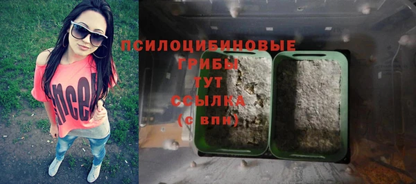 ГАЛЛЮЦИНОГЕННЫЕ ГРИБЫ Покров