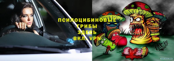 спиды Алексин