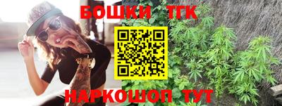 соль ск Будённовск