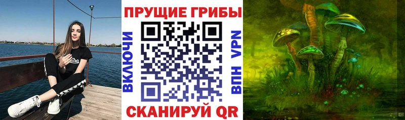 mega ссылка купить сайты площадка состав Псилоцибиновые грибы мухоморы Истра