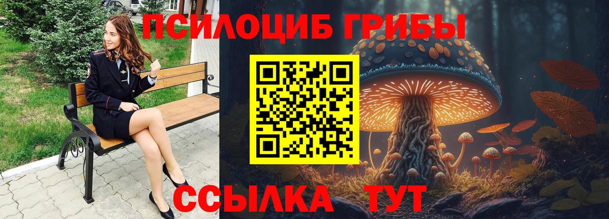 Псилоцибиновые грибы мухоморы Истра